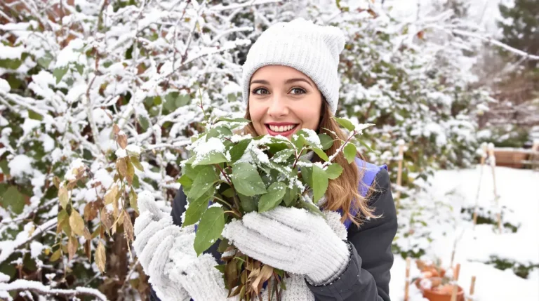 Elle passe l’hiver dehors et finit dans vos assiettes : la plante meconnue qu’on devrait tous semer