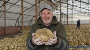 Pas-de-Calais : plutôt que les jeter, un agriculteur offre gratuitement ses pommes de terre invendues aux habitants