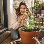 Cette plante remplace les cubes de bouillon en cuisine : voici la période idéale pour la mettre en pot