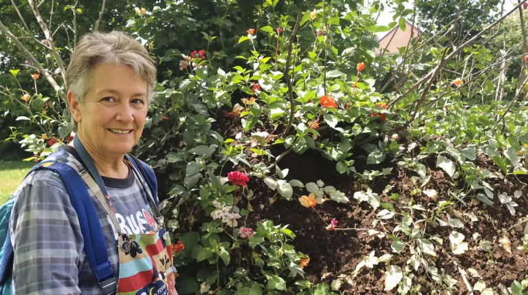 Les haies de thuyas, c'est fini : les experts supplient de les arracher du jardin d'urgence